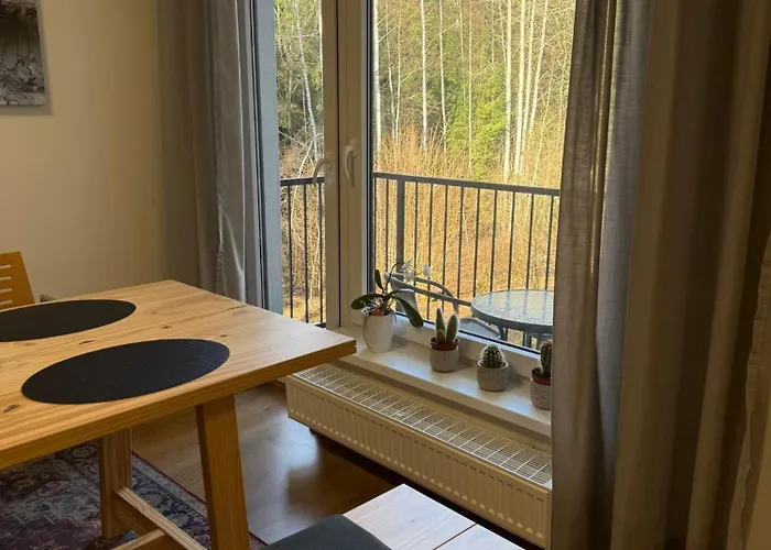 Kurt Apartmán Mariánské Lázně