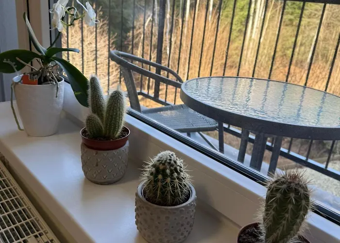 Apartmán Kurt Mariánské Lázně
